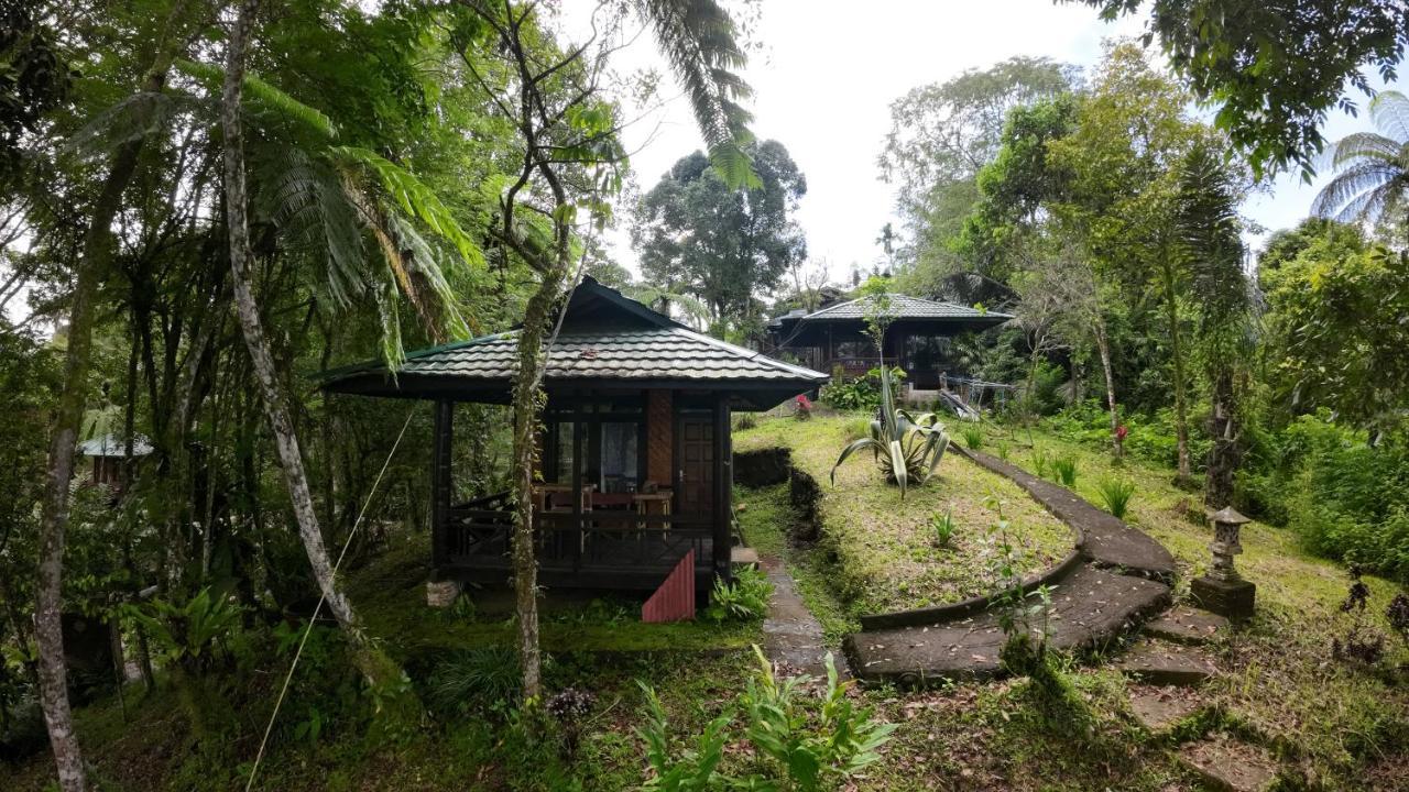 Rimba Eco Resort Tomohon Exterior foto