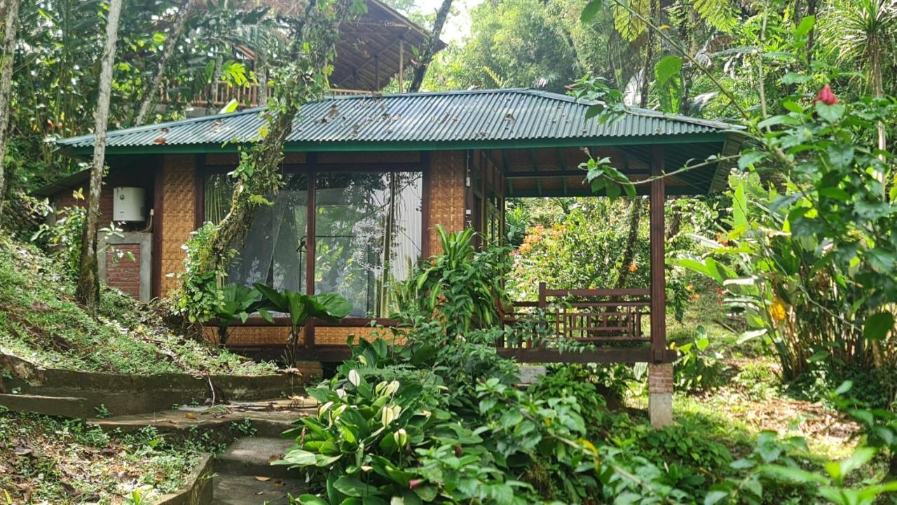 Rimba Eco Resort Tomohon Exterior foto