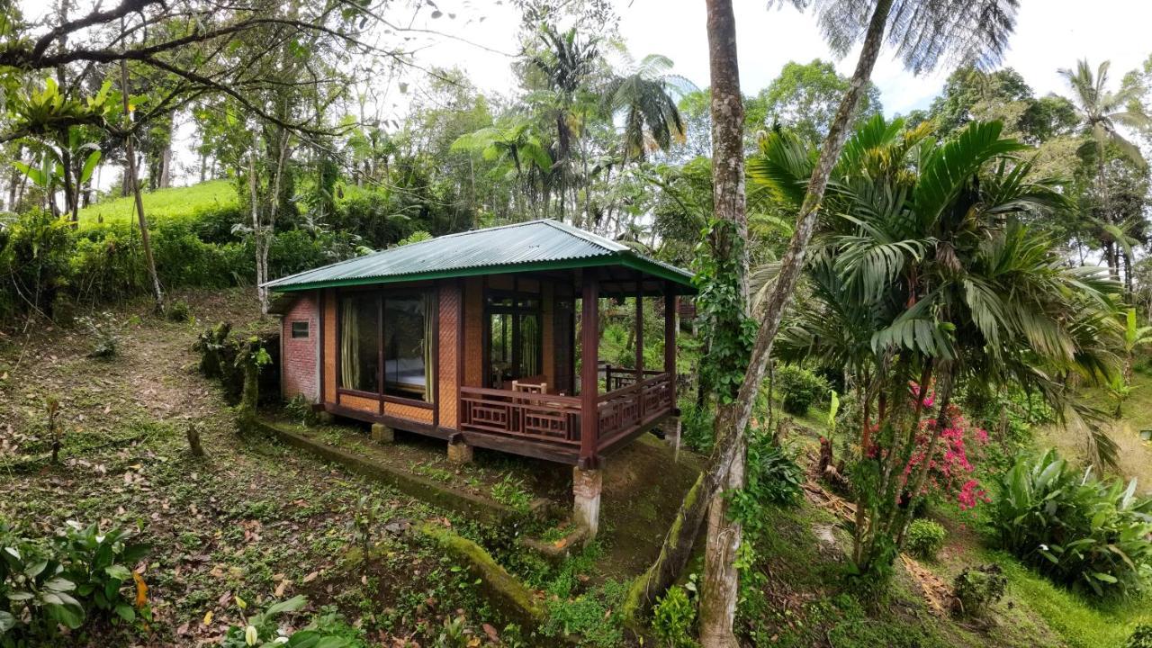 Rimba Eco Resort Tomohon Exterior foto