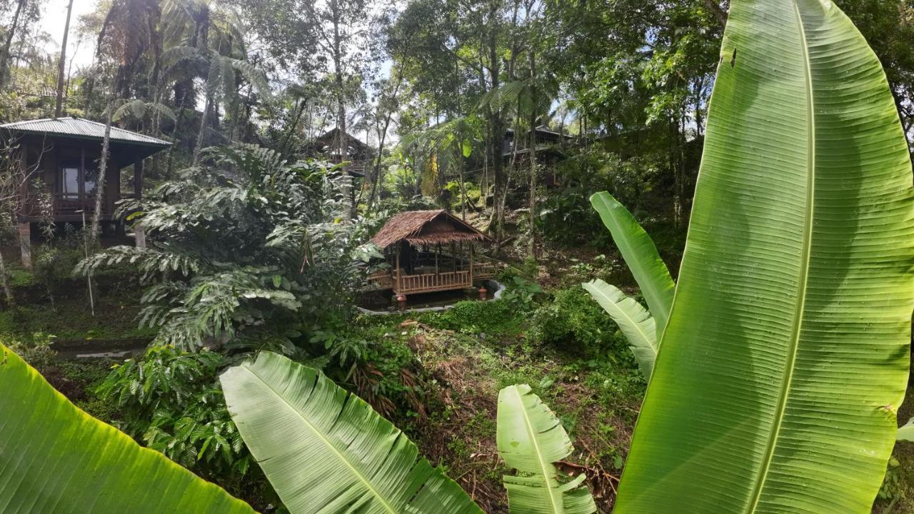 Rimba Eco Resort Tomohon Exterior foto