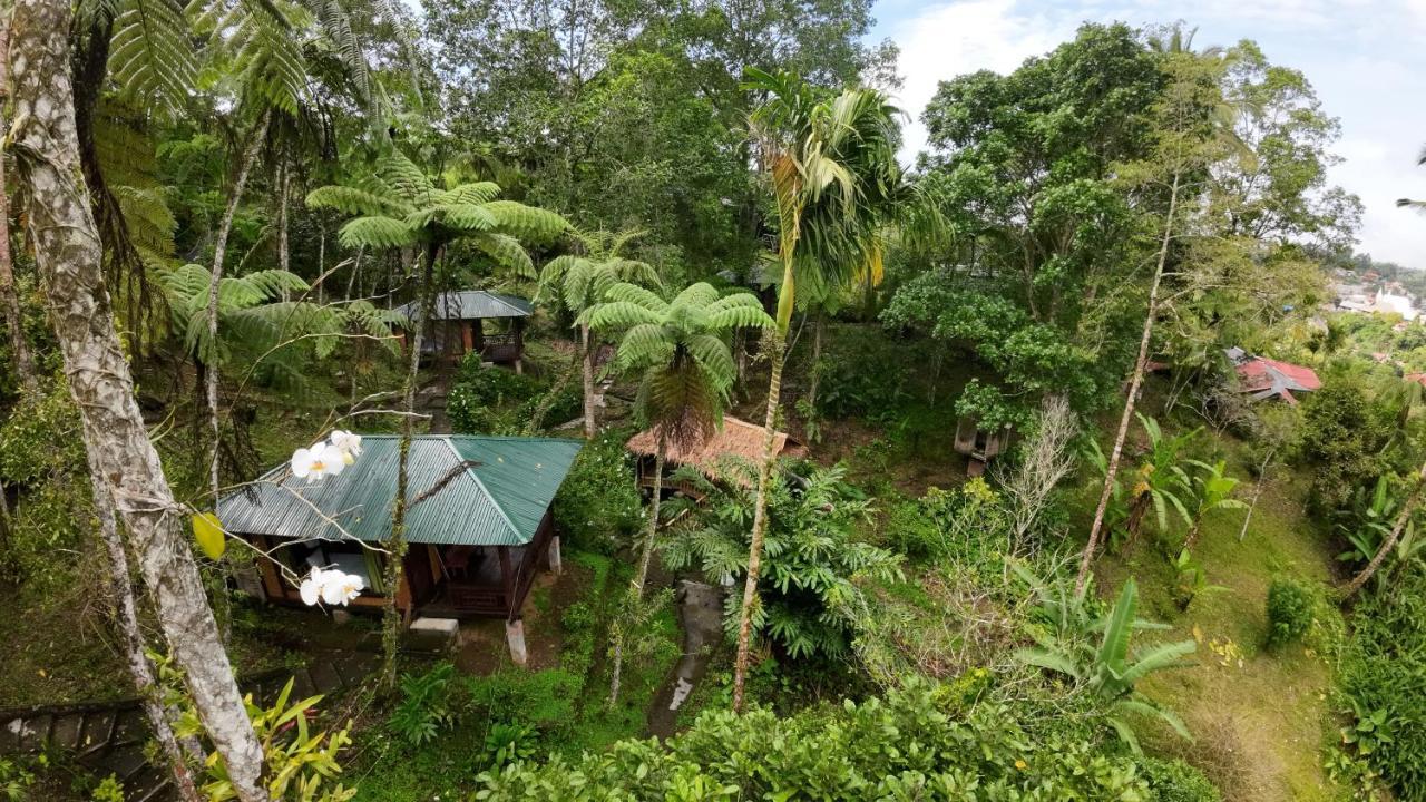 Rimba Eco Resort Tomohon Exterior foto